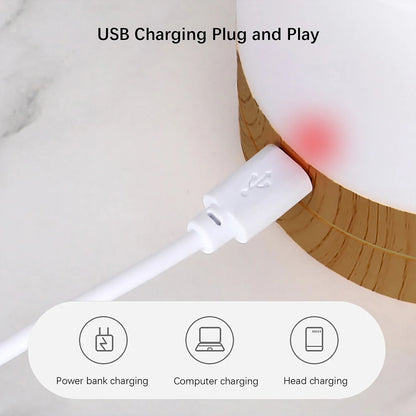 Veilleuse Bois RGB Tactile avec Télécommande